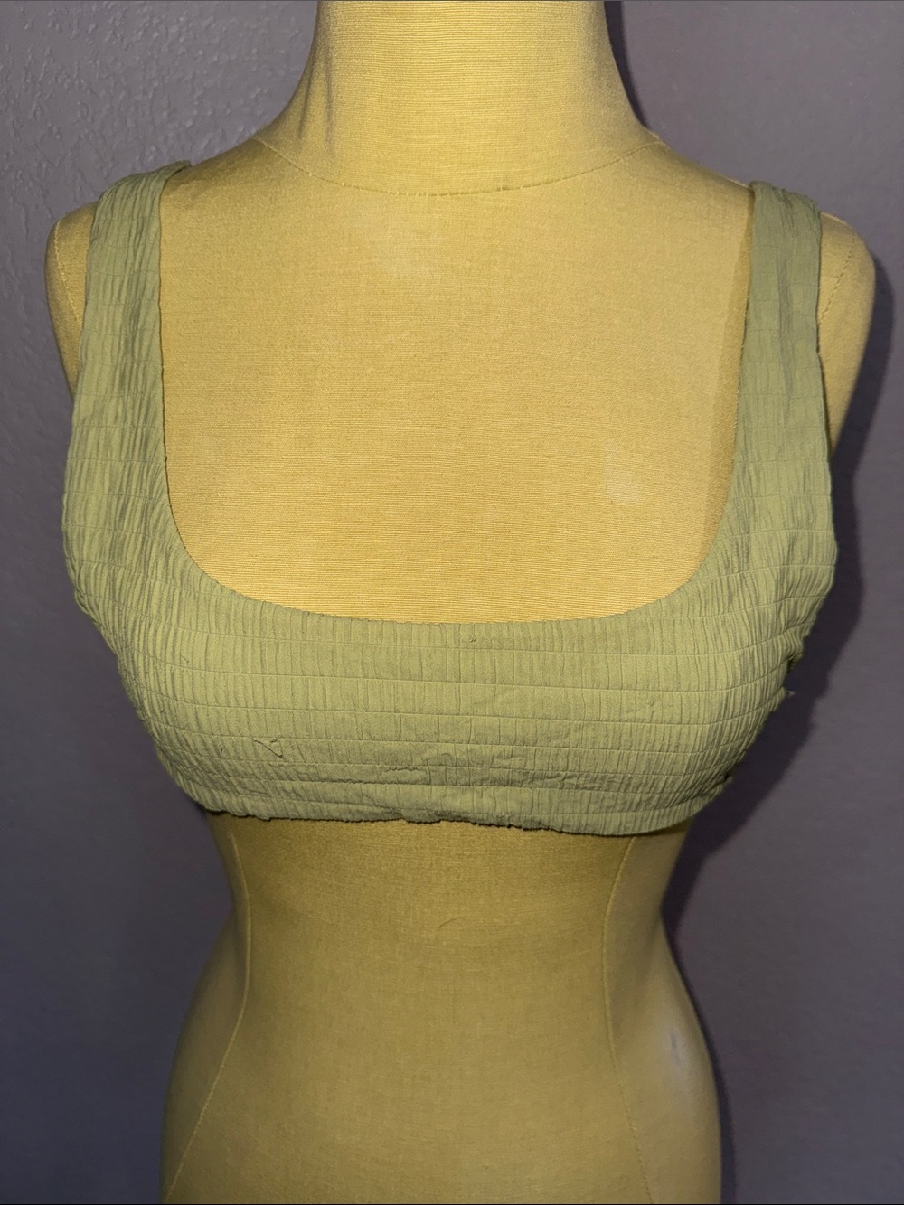 Triangl Light Green Bikini Swim Top